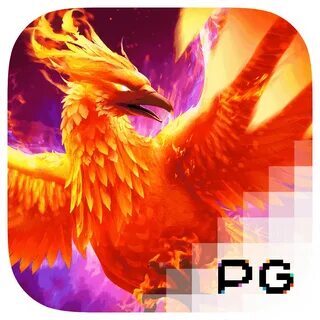 166 win bet app download 
