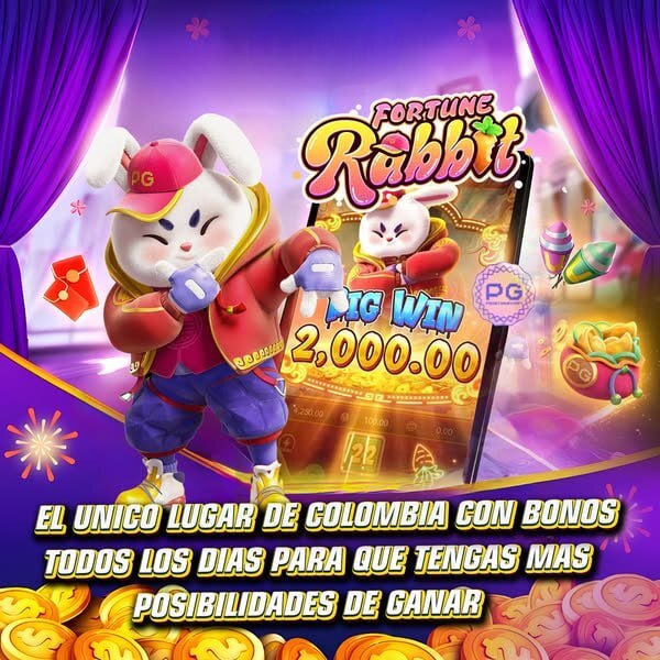255 bet app 
