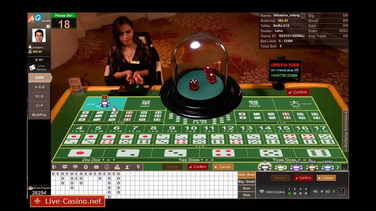 apostas esportivas sem casino 