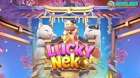 multicanais cassino ao vivo 