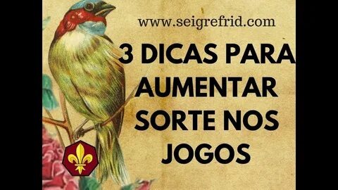 resultado do jogo do bicho do dia 09 11 2025 