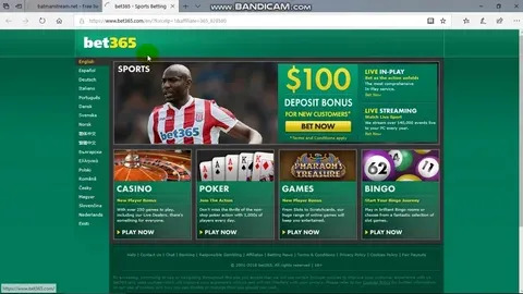 xp bet app 